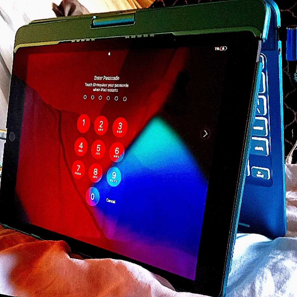 Everything!!! iPad $175 iPhone 13 pro (unlocked brand new $200,